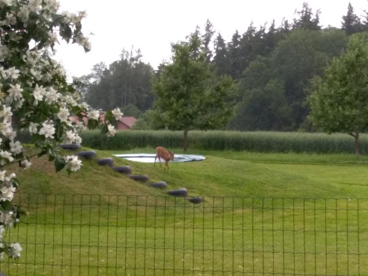 Vitalhof Roithinger Grieskirchen Exterior foto