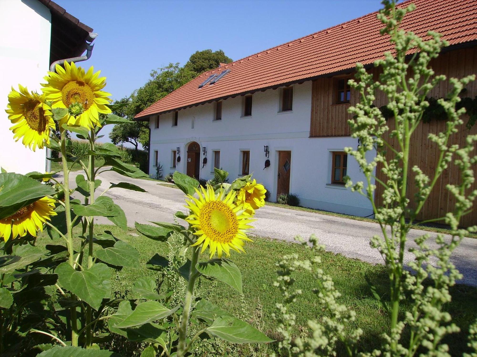 Vitalhof Roithinger Grieskirchen Exterior foto